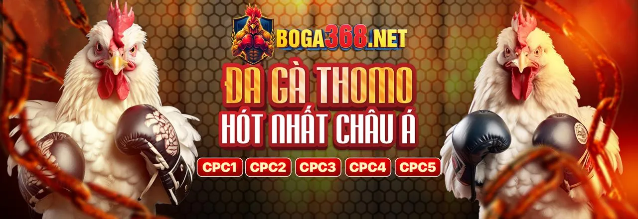 Hướng dẫn chơi casino trên 78wib App
